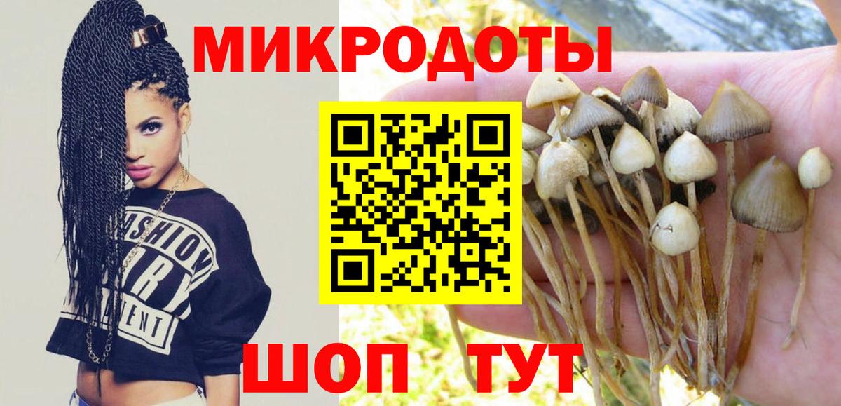 Псилоцибиновые грибы ЛСД Коркино
